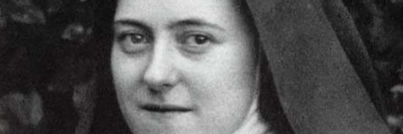 A oferta da pequena flor do carmelo